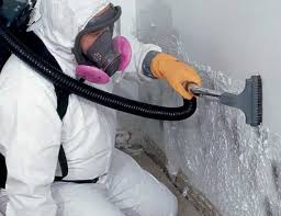 Why You Should Choose Our Mold Remediation Services in Marshallton, PA